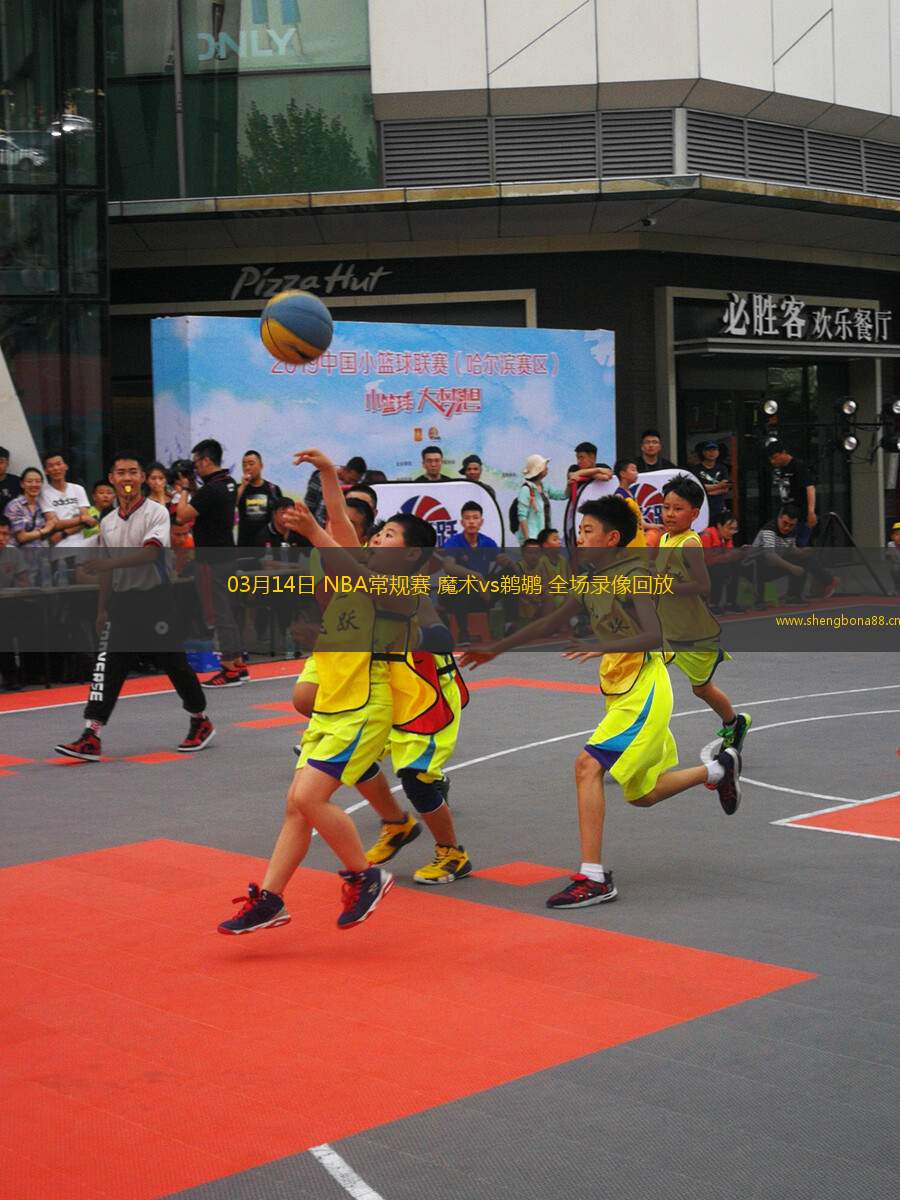 03月14日 NBA常規(guī)賽 魔術(shù)vs鵜鶘 全場(chǎng)錄像回放