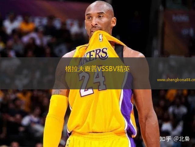 格拉夫夏普VSSBV精英