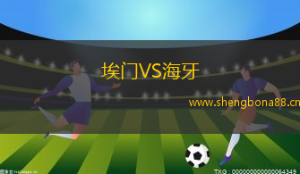 埃門VS海牙