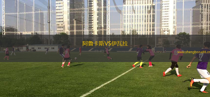 阿魯卡斯VS伊瓦拉