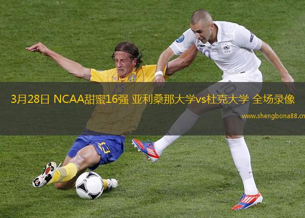 3月28日 NCAA甜蜜16強 亞利桑那大學vs杜克大學 全場錄像