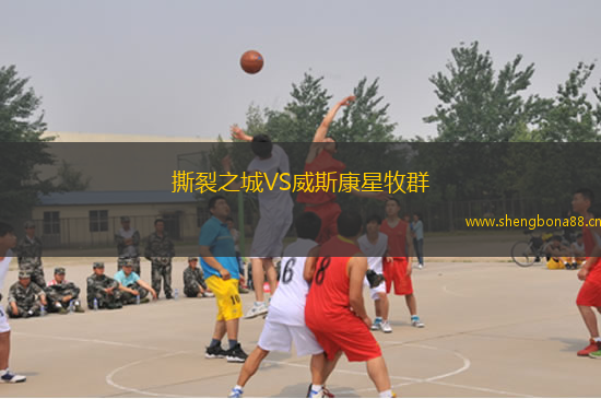 撕裂之城VS威斯康星牧群
