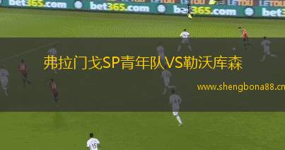 弗拉門戈SP青年隊VS勒沃庫森