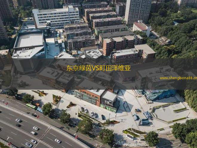 東京綠茵VS町田澤維亞