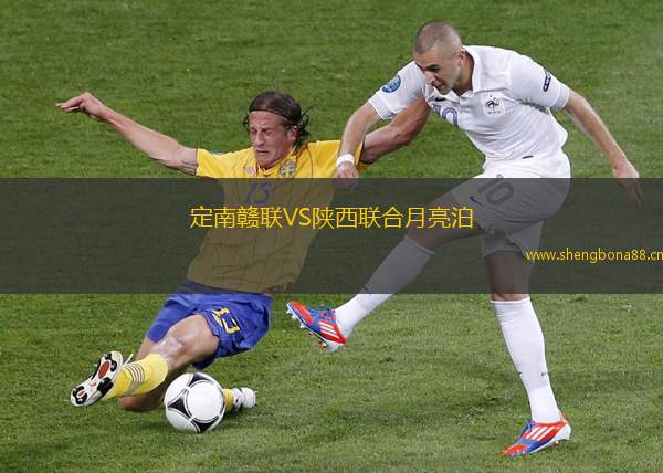 定南贛聯(lián)VS陜西聯(lián)合月亮泊
