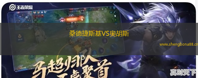 桑德捷斯基VS奧胡斯