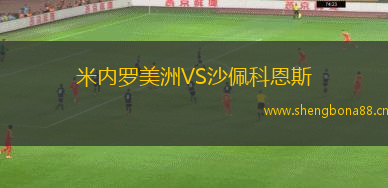 米內(nèi)羅美洲VS沙佩科恩斯
