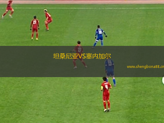 坦桑尼亞VS塞內(nèi)加爾