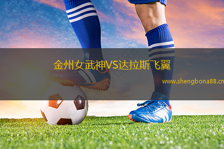 金州女武神VS達(dá)拉斯飛翼