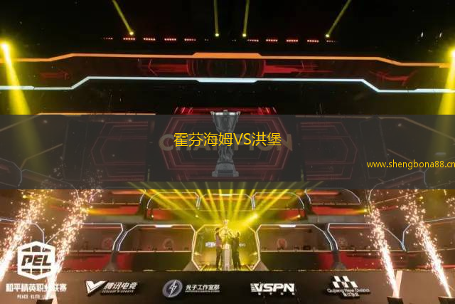 霍芬海姆VS洪堡