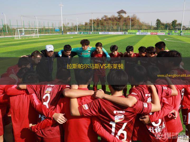 拉斯帕爾馬斯VS布萊頓