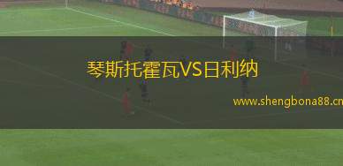 琴斯托霍瓦VS日利納