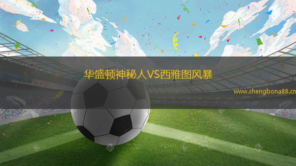 華盛頓神秘人VS西雅圖風(fēng)暴