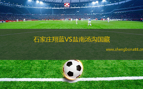 石家莊翔藍VS鹽南湯溝國藏