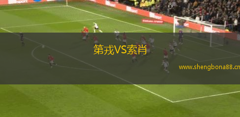第戎VS索肖