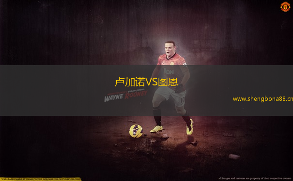盧加諾VS圖恩
