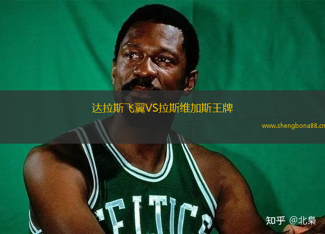 達拉斯飛翼VS拉斯維加斯王牌