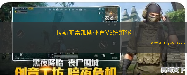 拉斯帕雷加斯體育VS紐維爾