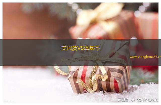 美因茨VS澤基岑