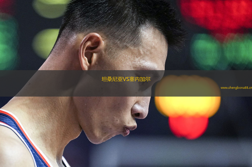坦桑尼亞VS塞內(nèi)加爾