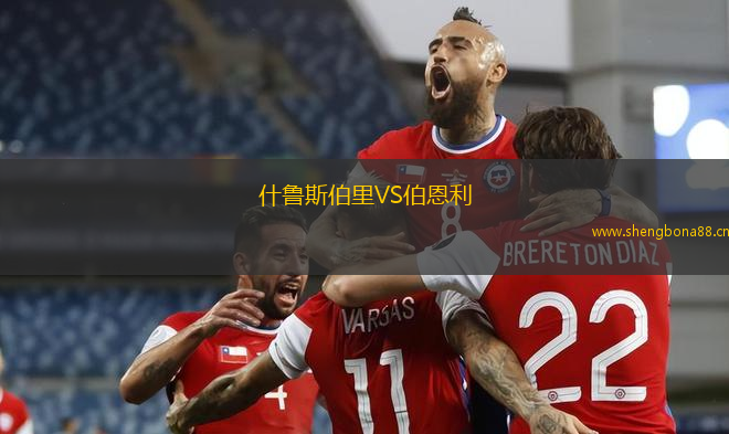 什魯斯伯里VS伯恩利