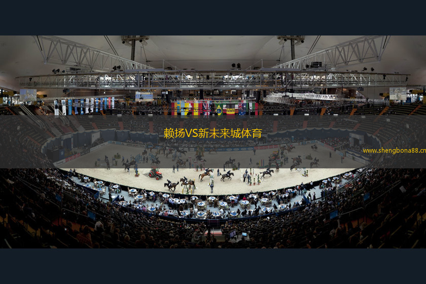 賴揚(yáng)VS新未來城體育