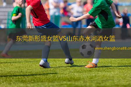 東莞新彤盛女籃VS山東赤水河酒女籃