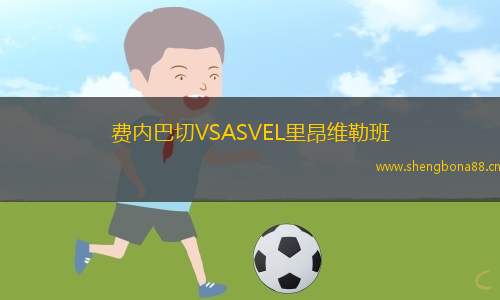 費(fèi)內(nèi)巴切VSASVEL里昂維勒班