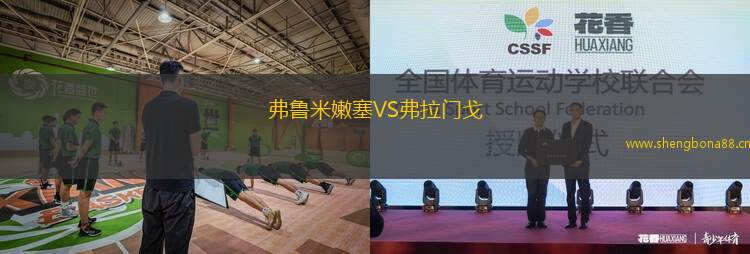 弗魯米嫩塞VS弗拉門戈