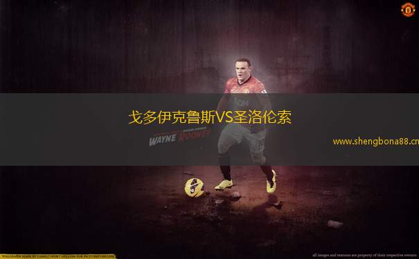 戈多伊克魯斯VS圣洛倫索