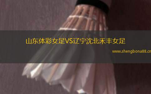 山東體彩女足VS遼寧沈北禾豐女足
