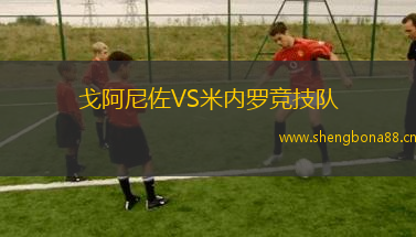 戈阿尼佐VS米內(nèi)羅競技隊