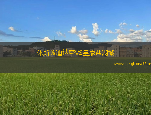 休斯敦迪納摩VS皇家鹽湖城