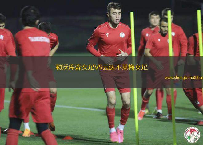勒沃庫森女足VS云達(dá)不萊梅女足
