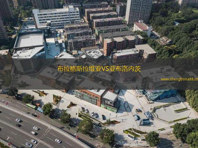 布拉格斯拉維亞VS亞布洛內(nèi)茨