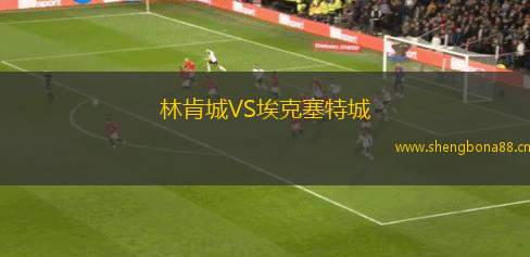 林肯城VS?？巳爻? title=