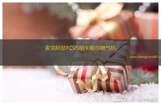 麥克阿瑟FCVS紐卡斯?fàn)枃姎鈾C