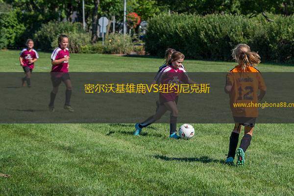 密爾沃基雄鹿VS紐約尼克斯