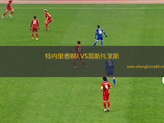 特內(nèi)里費B隊VS莫斯托萊斯