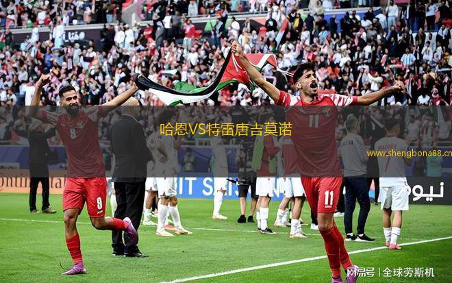 哈恩VS特雷唐吉莫諾