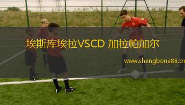 埃斯庫(kù)埃拉VSCD 加拉帕加爾