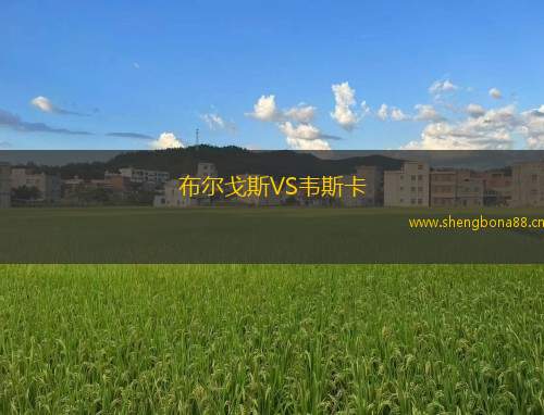 布爾戈斯VS韋斯卡