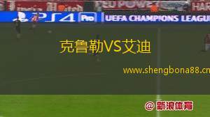 克魯勒VS艾迪