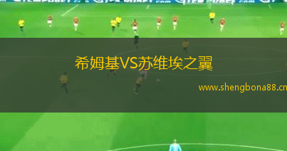 希姆基VS蘇維埃之翼