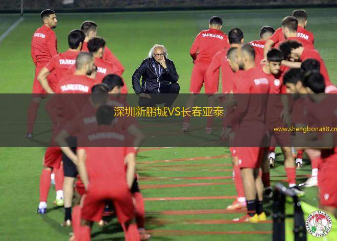 深圳新鵬城VS長春亞泰