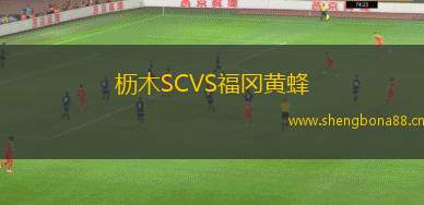 櫪木SCVS福岡黃蜂