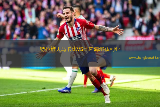 特拉維夫馬卡比VS比內(nèi)海爾茲利亞