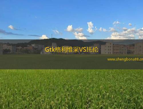 Gtk格利維采VS托倫