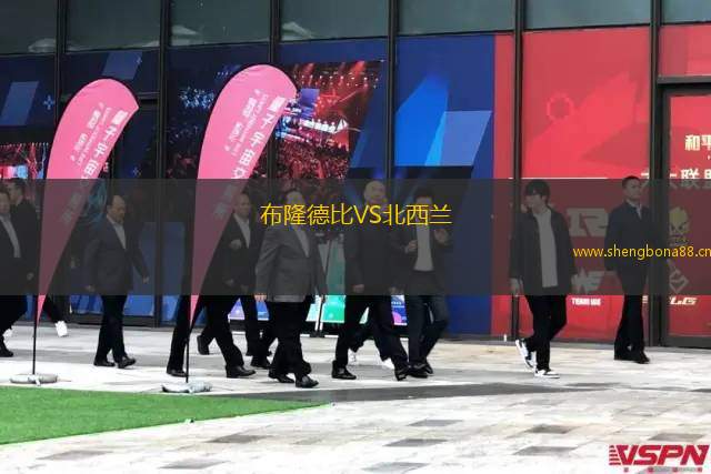布隆德比VS北西蘭