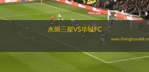 水原三星VS華城FC